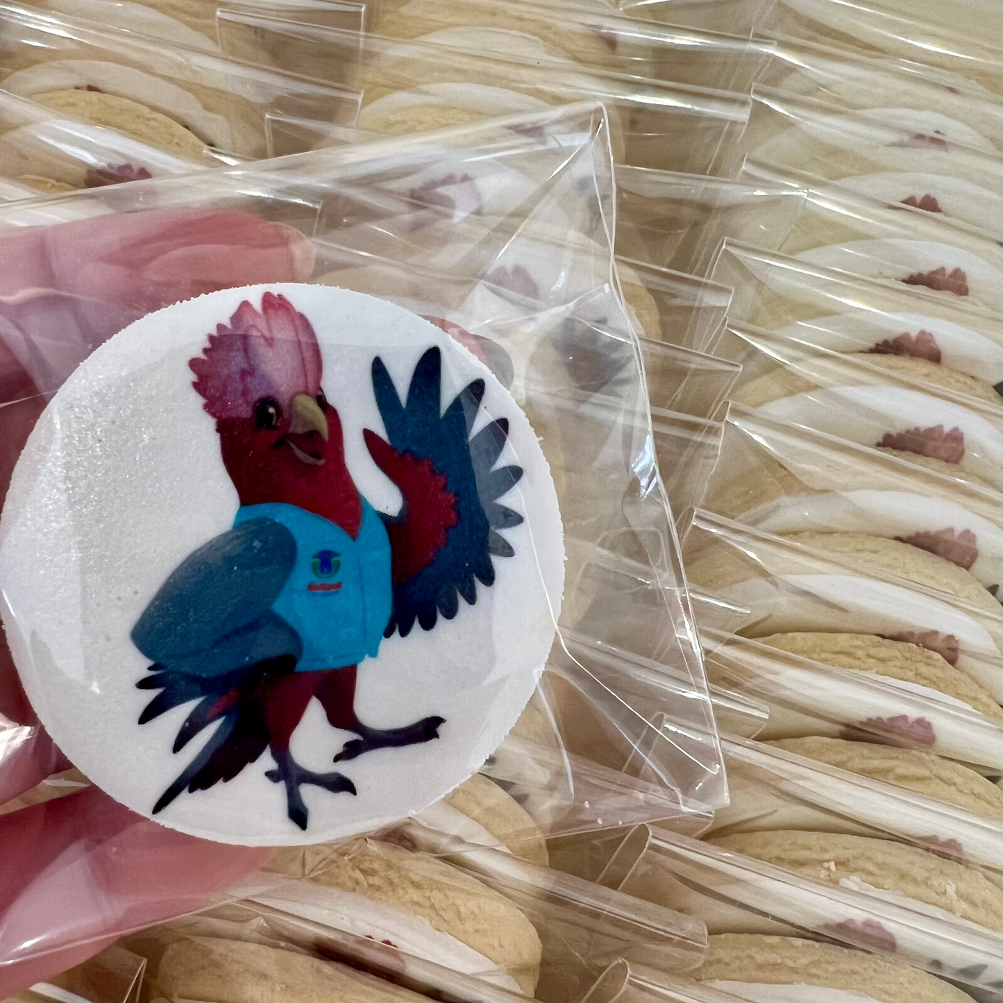 Cookies with Edible Images